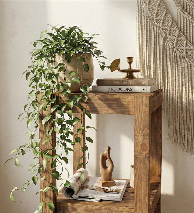 Amos 2 Tier Solid Wood End Table