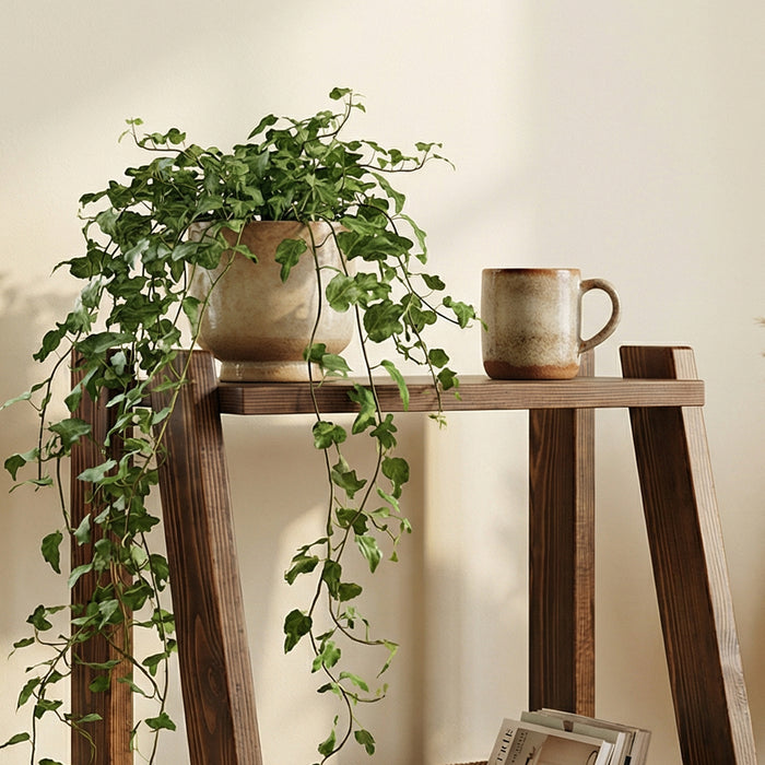 Max Brown Solid Wood End Table